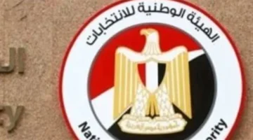 موعد جولة الإعادة ومصرّح النتيجة النهائية للمصريين في الداخل والخارج